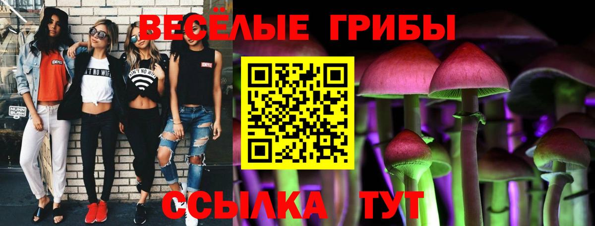Псилоцибиновые грибы мицелий  Псилоцибиновые грибы GOLDEN TEACHER  Вход с VPN  Долгопрудный 